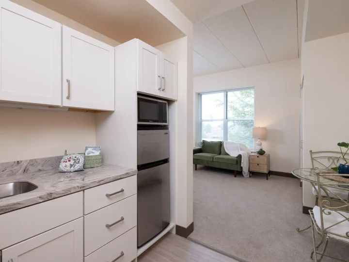 Apartment Kitchen and Dining Room